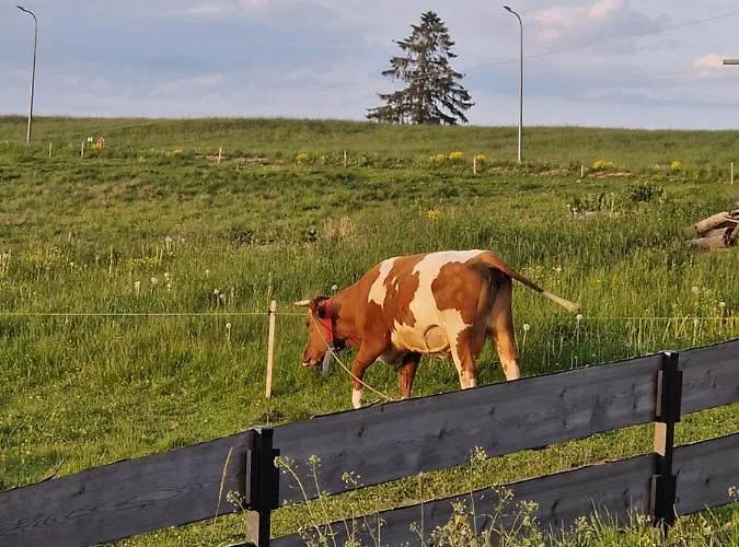 Mountain Shelter Gawlaki Dağ evi *
