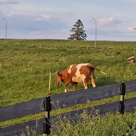 Mountain Shelter Gawlaki Alpehytte *